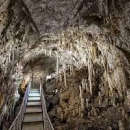 Tatil Evi Casetta Spino Fiorito *